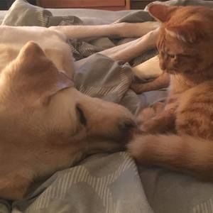 Meet your Posher, Bridget